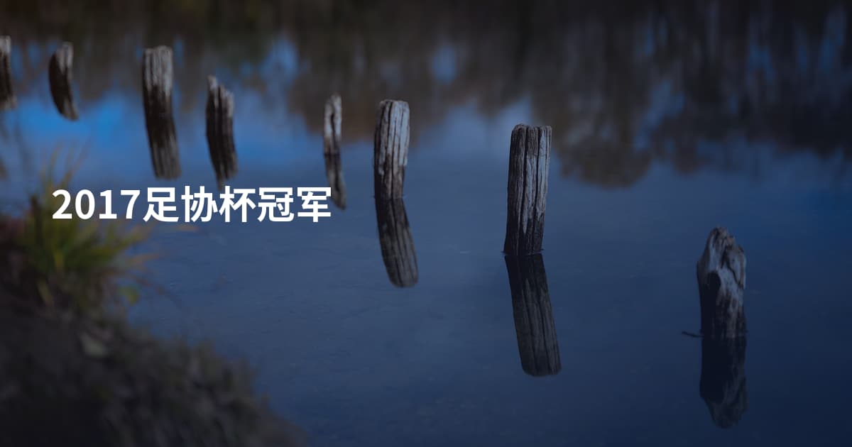 2017足协杯冠军