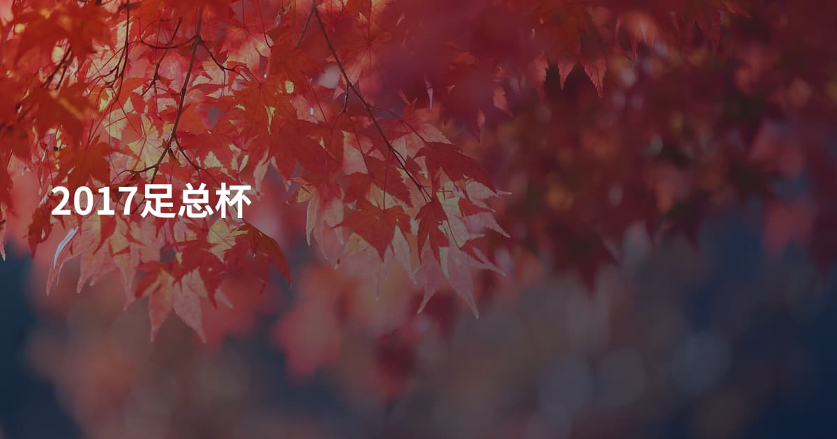 2017足总杯