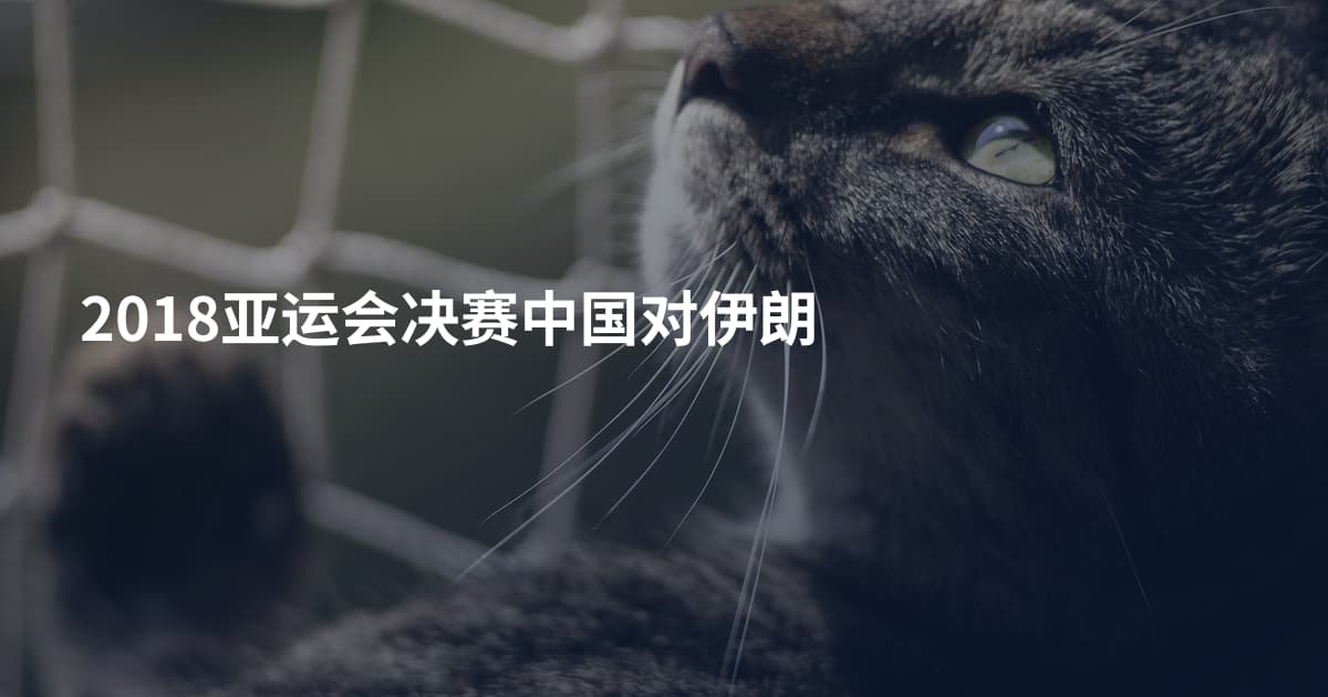2018亚运会决赛中国对伊朗