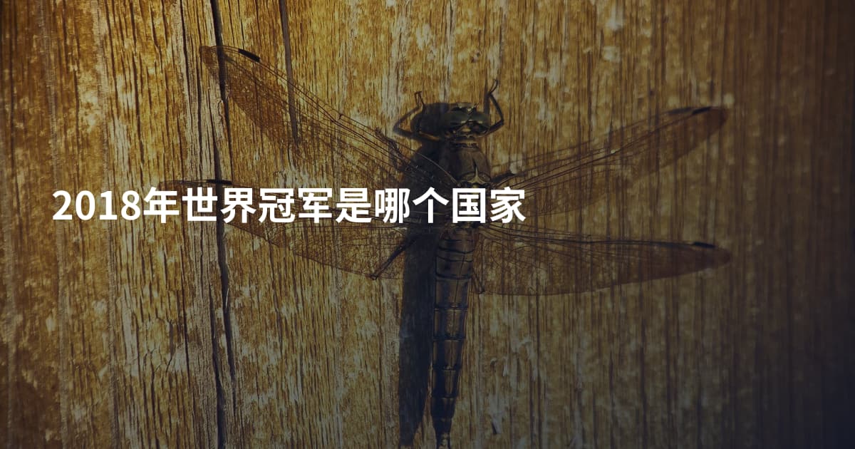 2018年世界冠军是哪个国家