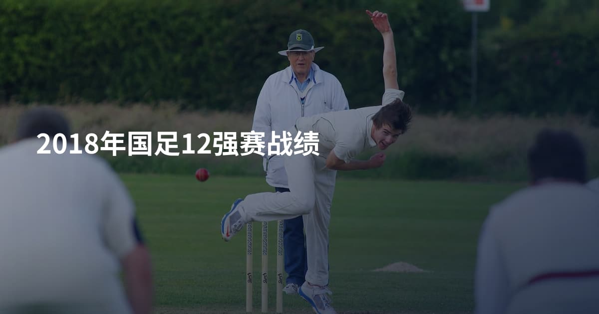 2018年国足12强赛战绩