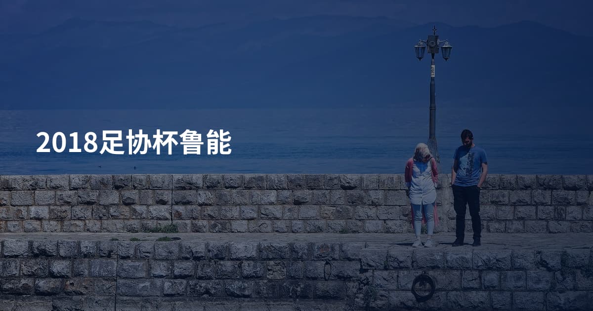 2018足协杯鲁能