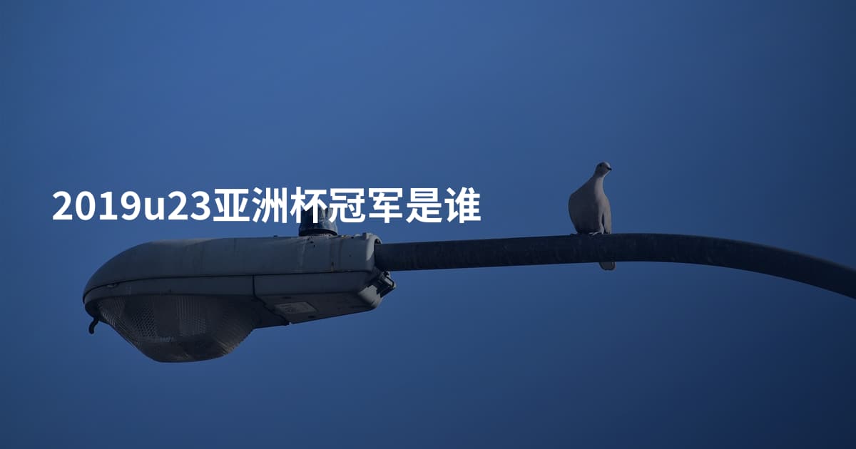 2019u23亚洲杯冠军是谁
