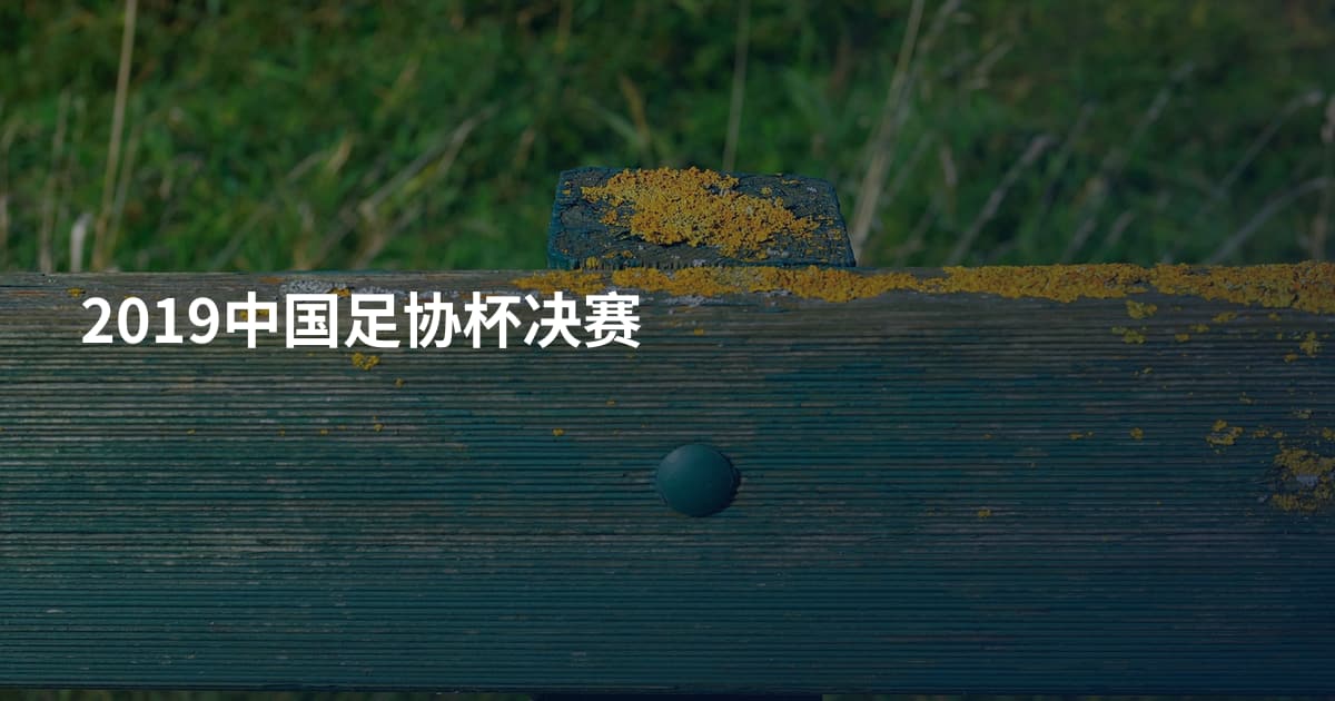 2019中国足协杯决赛