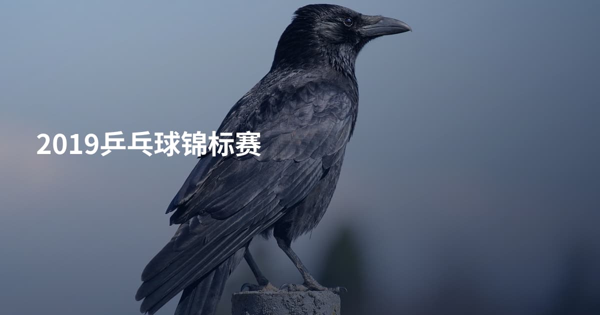 2019乒乓球锦标赛