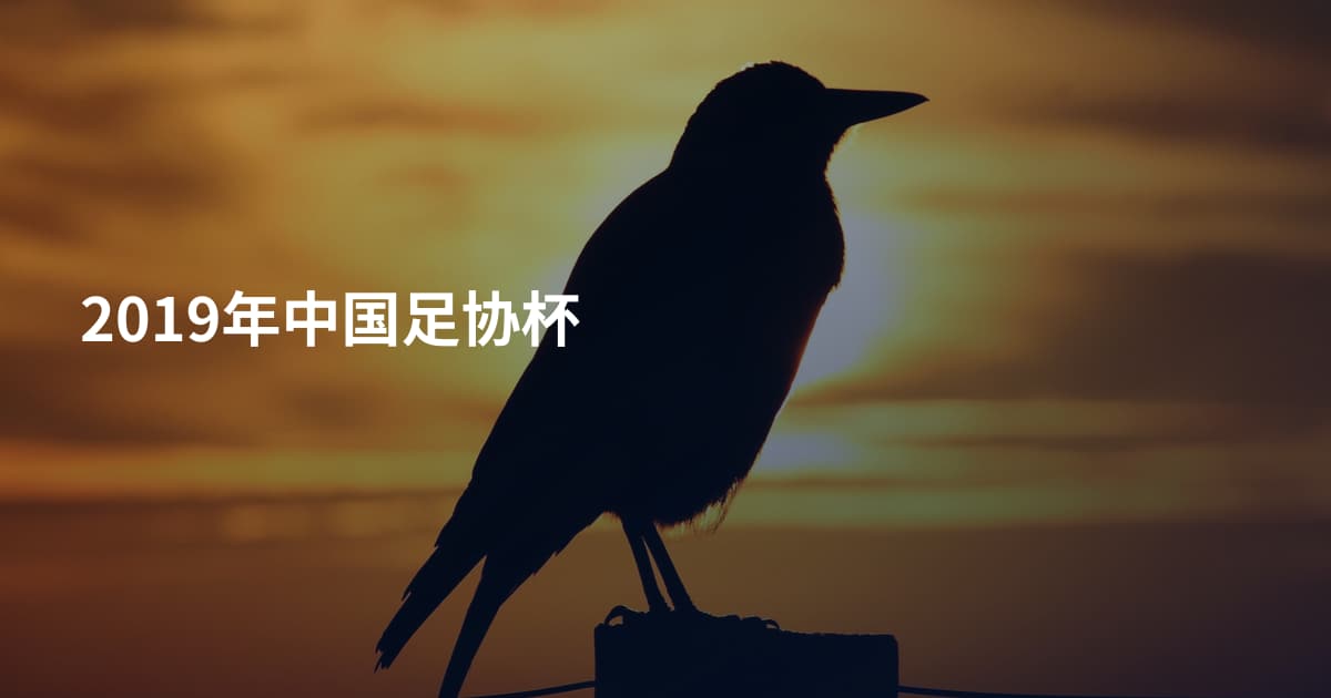 2019年中国足协杯
