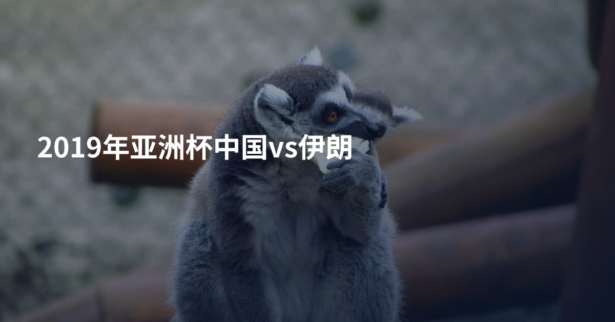 2019年亚洲杯中国vs伊朗