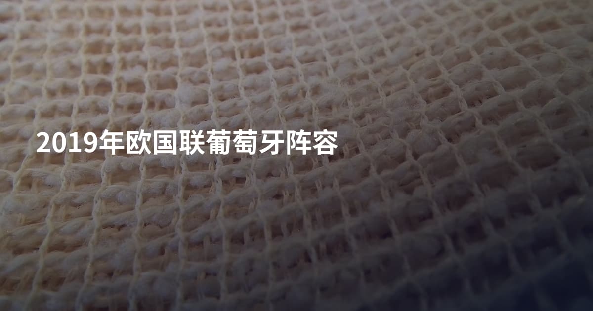 2019年欧国联葡萄牙阵容