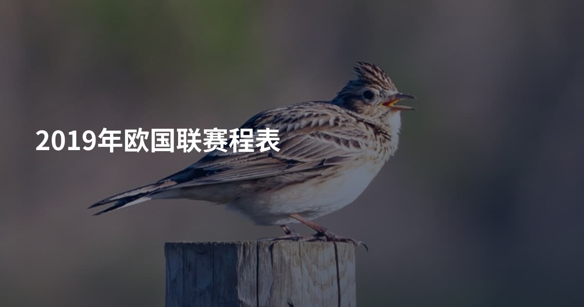 2019年欧国联赛程表