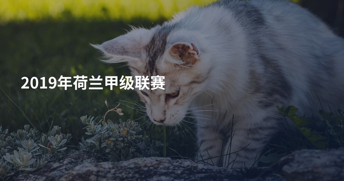 2019年荷兰甲级联赛