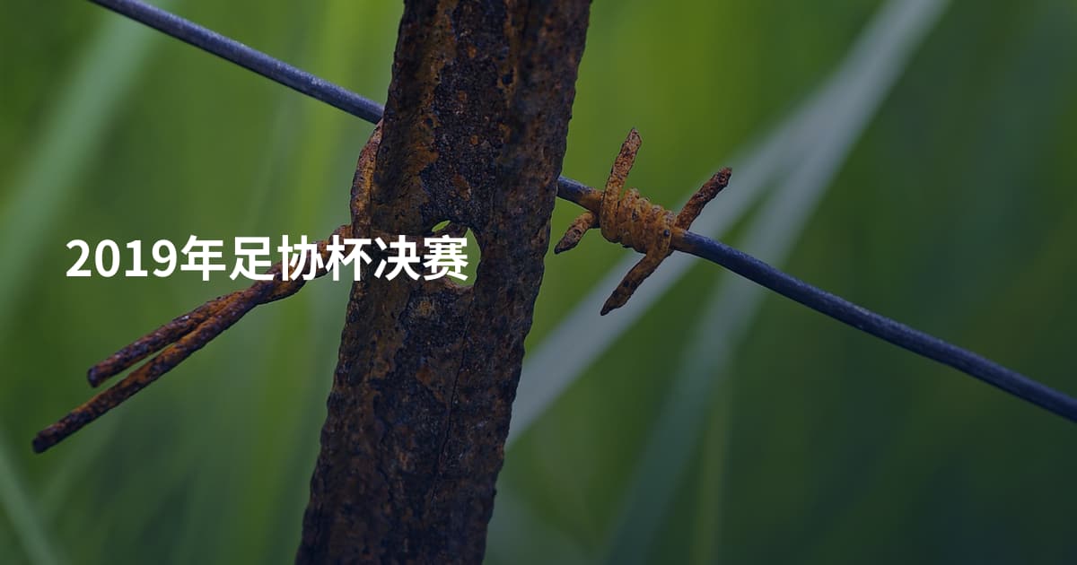 2019年足协杯决赛