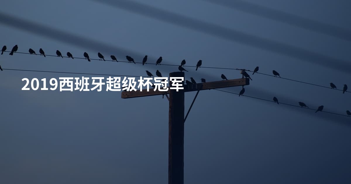 2019西班牙超级杯冠军