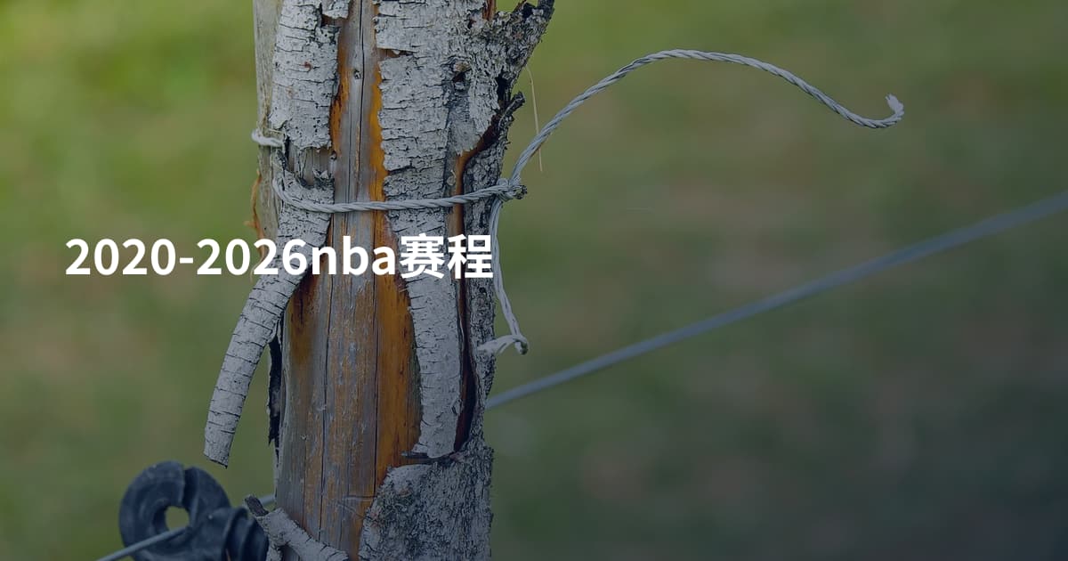2020-2026nba赛程