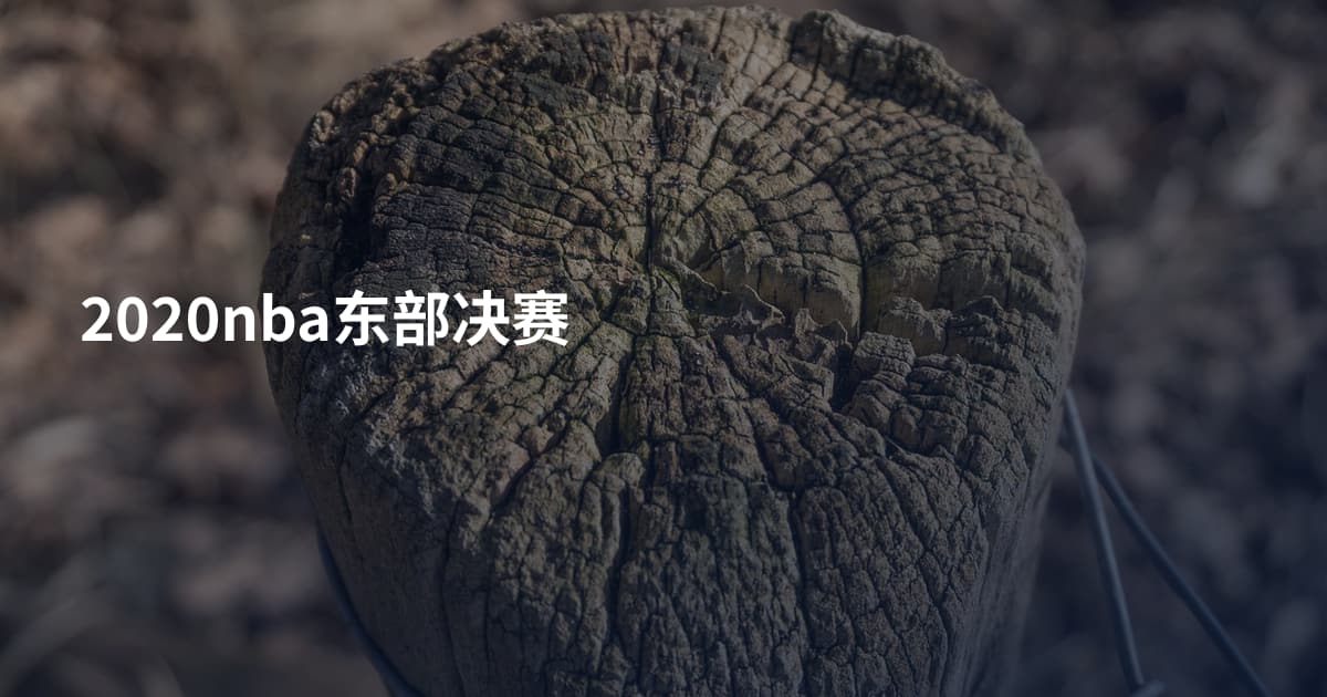 2020nba东部决赛