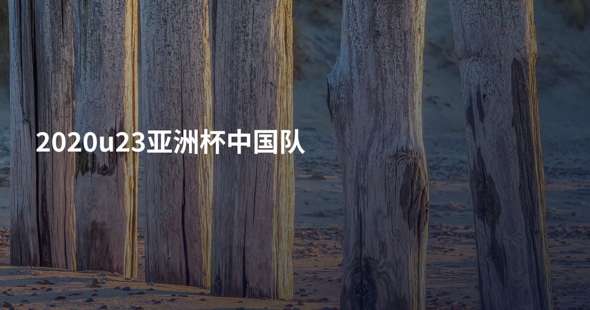 2020u23亚洲杯中国队
