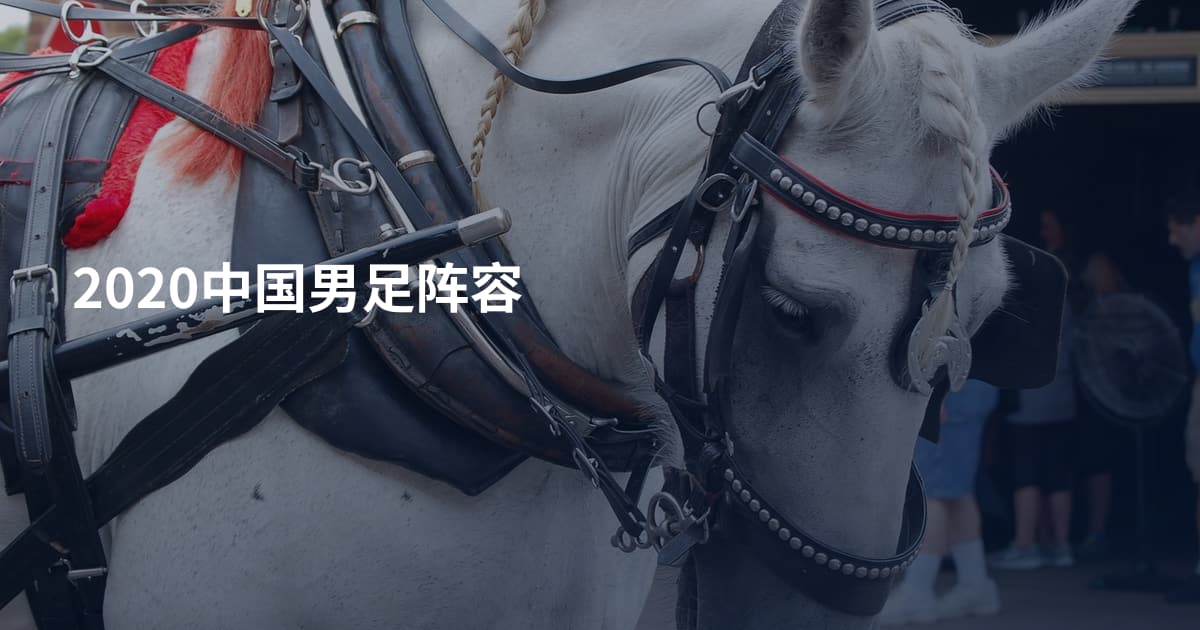2020中国男足阵容