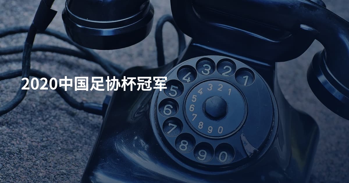 2020中国足协杯冠军