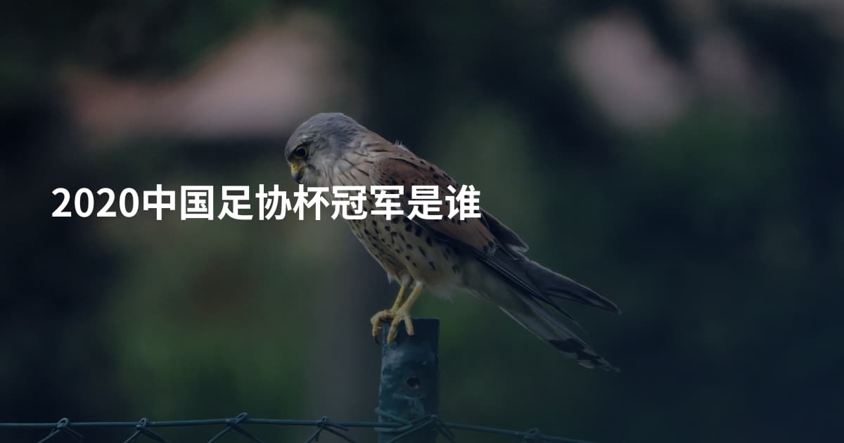 2020中国足协杯冠军是谁