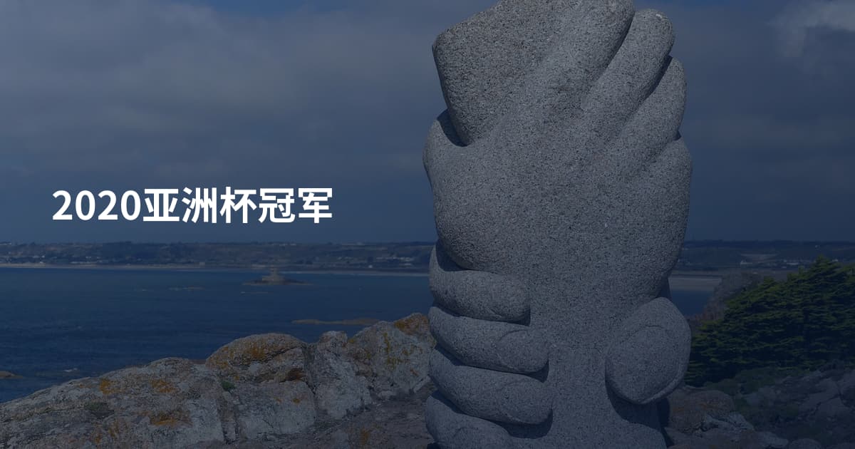 2020亚洲杯冠军
