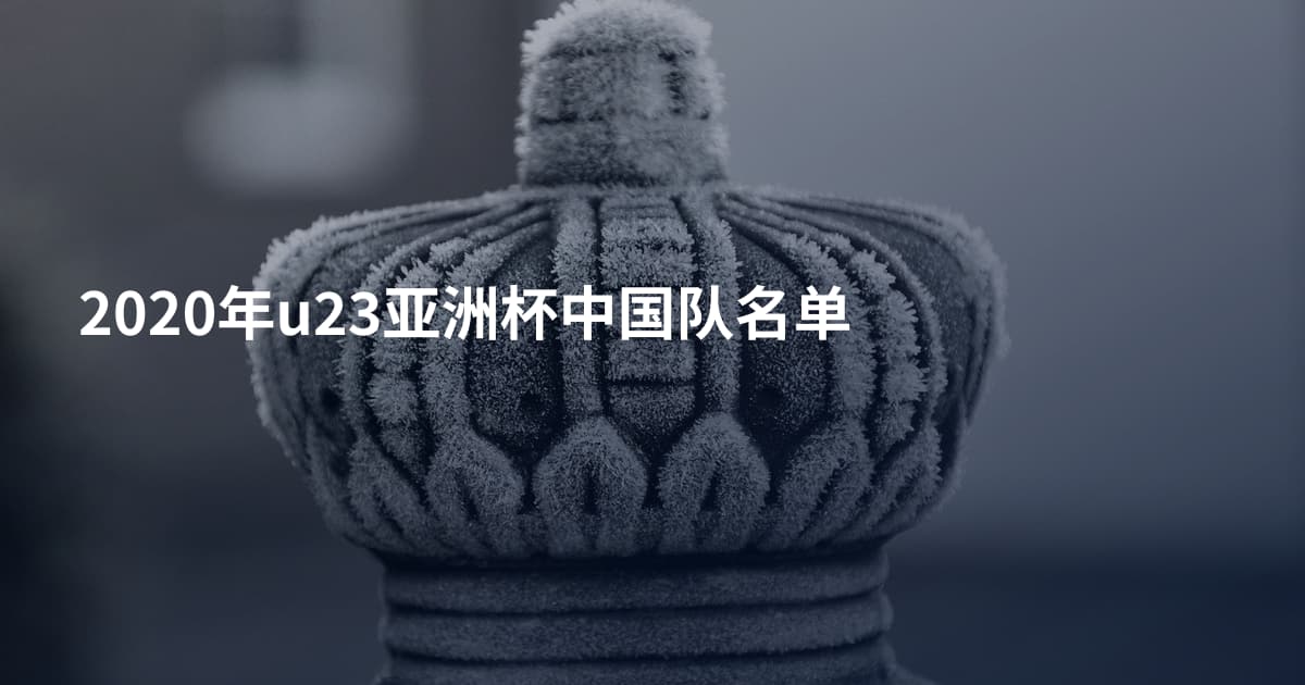 2020年u23亚洲杯中国队名单
