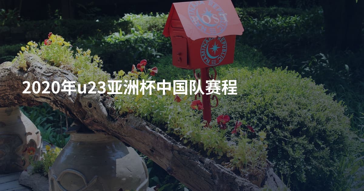 2020年u23亚洲杯中国队赛程