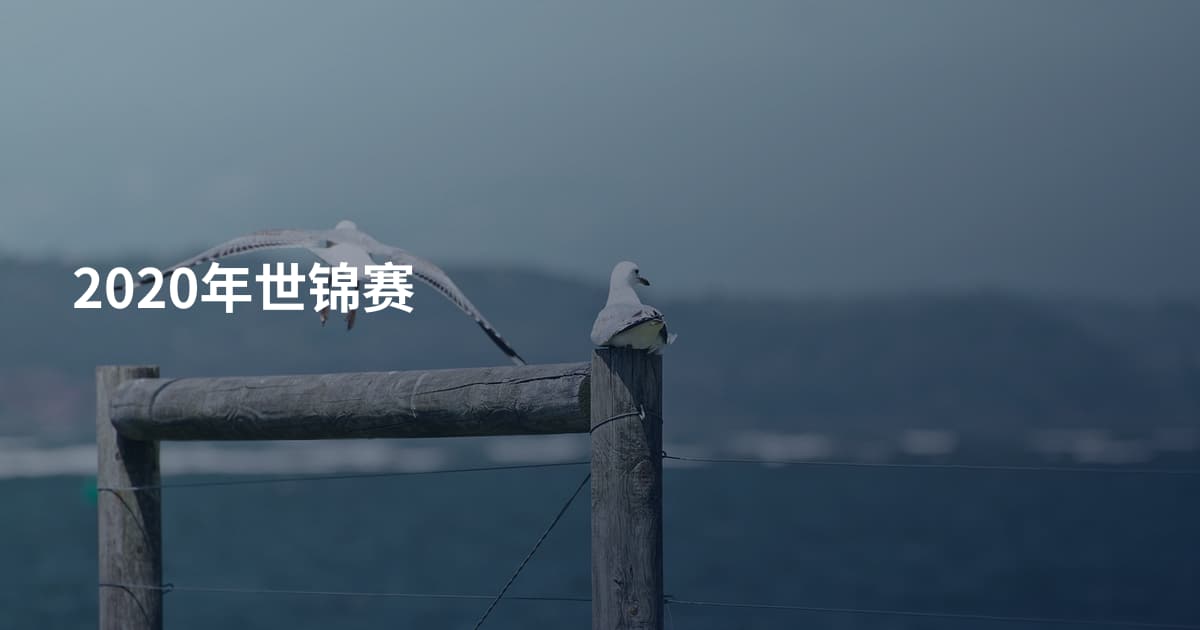 2020年世锦赛