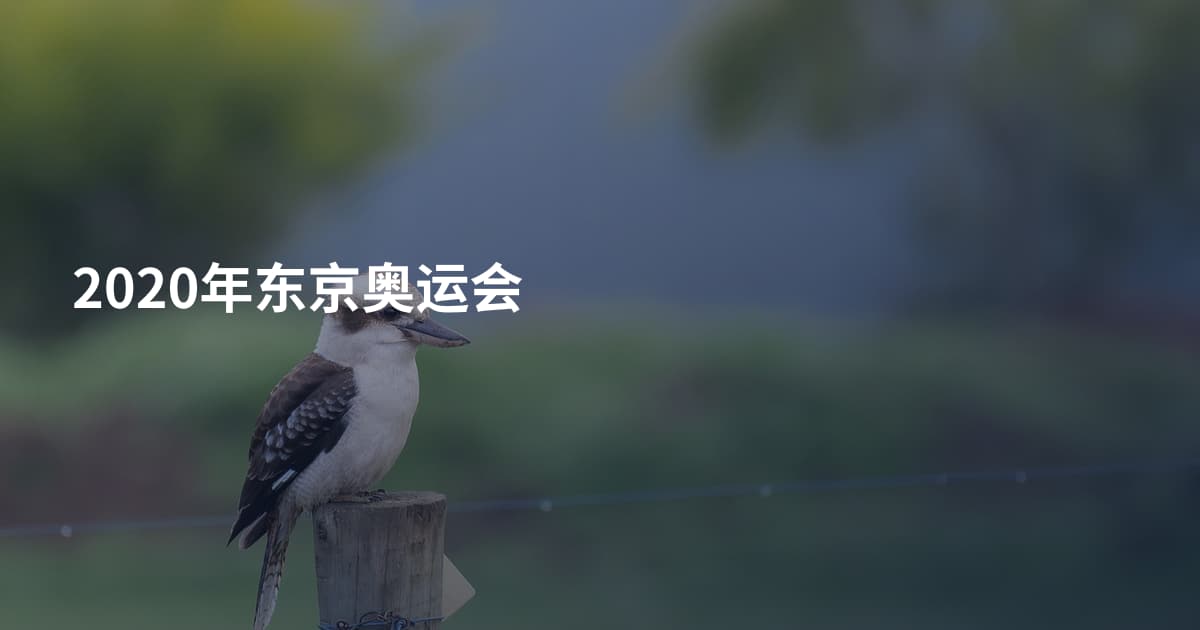 2020年东京奥运会