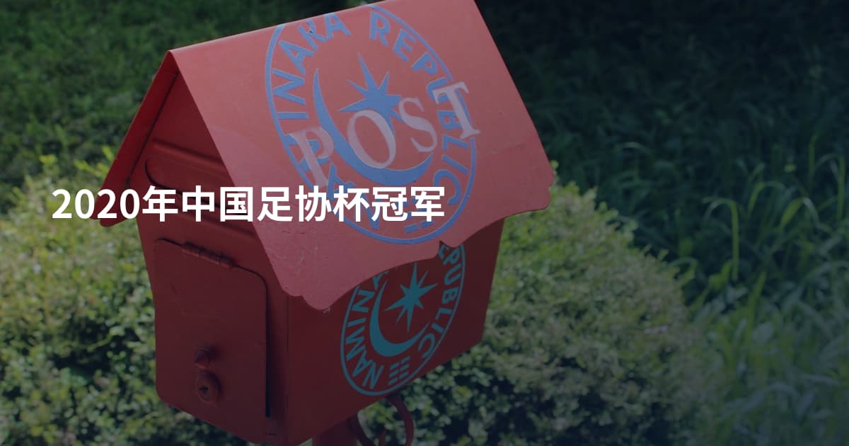 2020年中国足协杯冠军