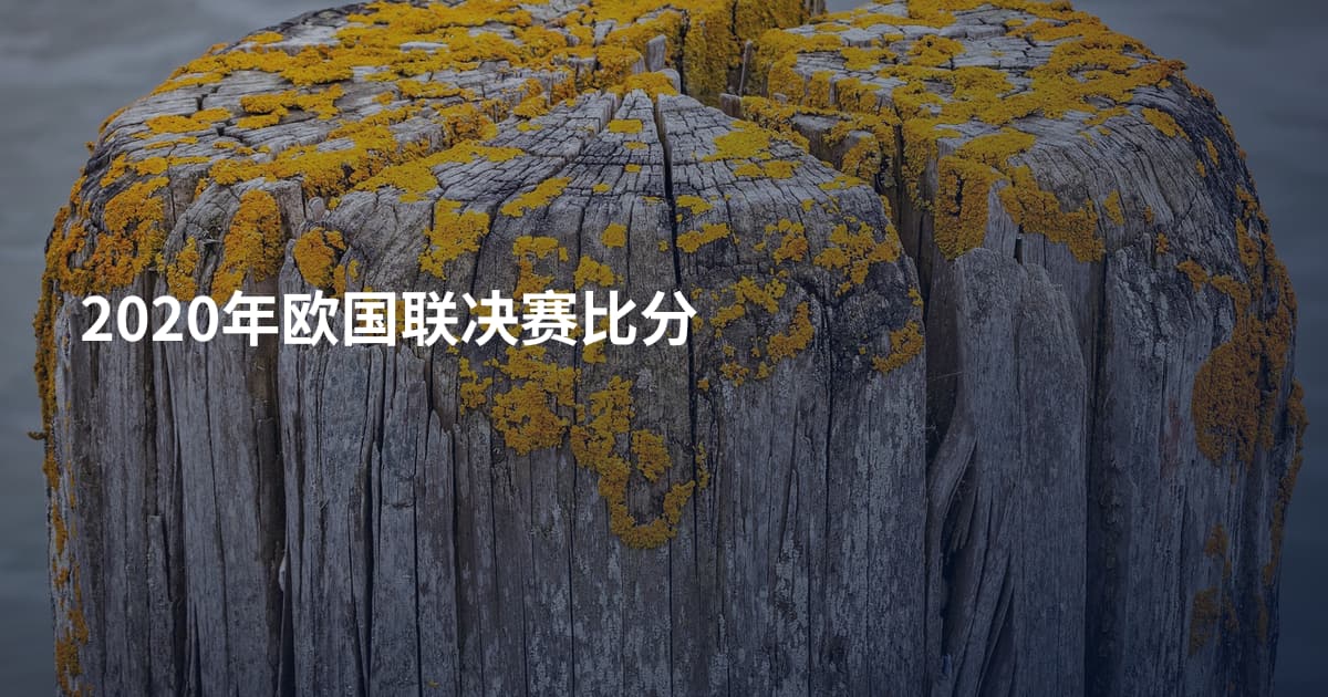 2020年欧国联决赛比分