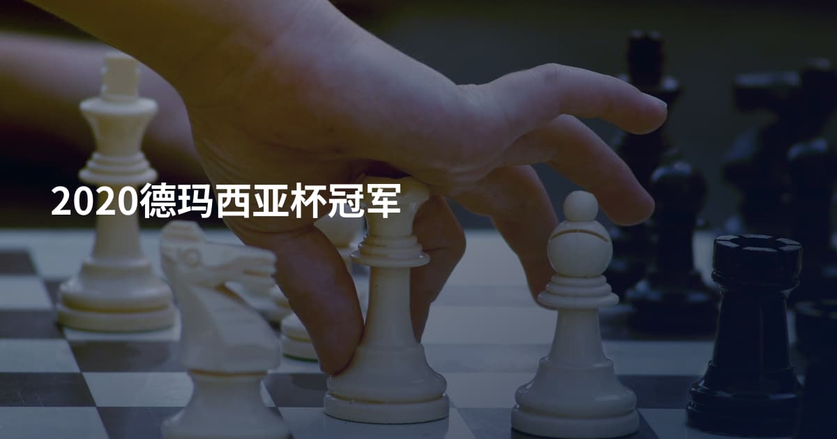 2020德玛西亚杯冠军