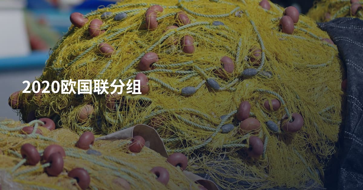 2020欧国联分组
