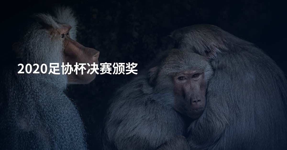 2020足协杯决赛颁奖