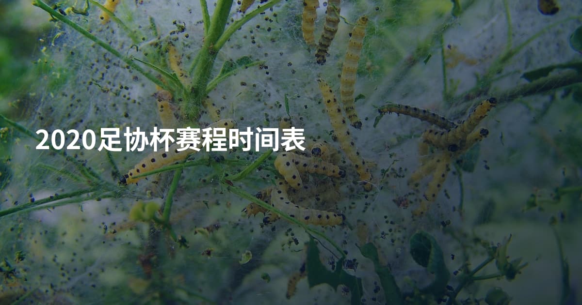2020足协杯赛程时间表