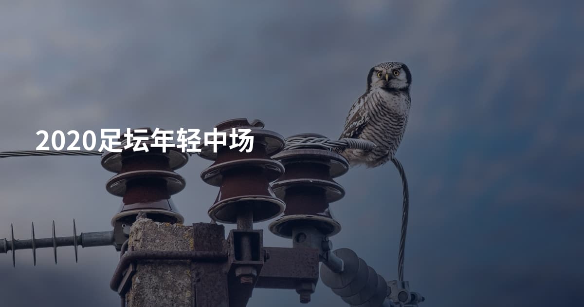 2020足坛年轻中场