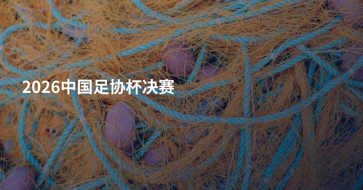 2026中国足协杯决赛