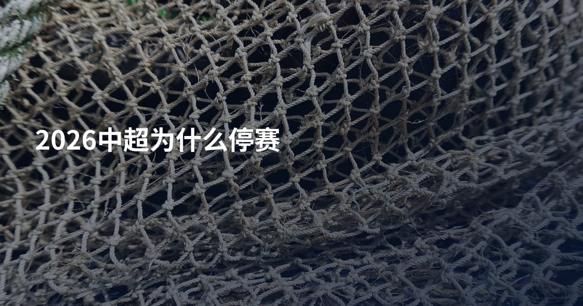 2026中超为什么停赛