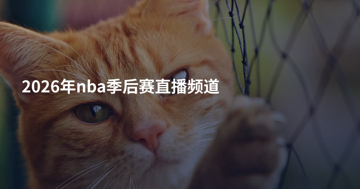 2026年nba季后赛直播频道