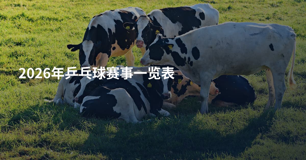 2026年乒乓球赛事一览表