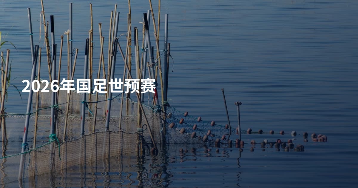 2026年国足世预赛