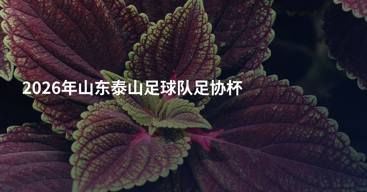 2026年山东泰山足球队足协杯