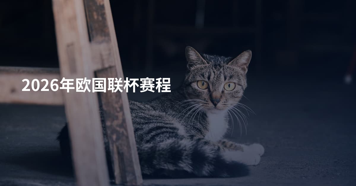 2026年欧国联杯赛程