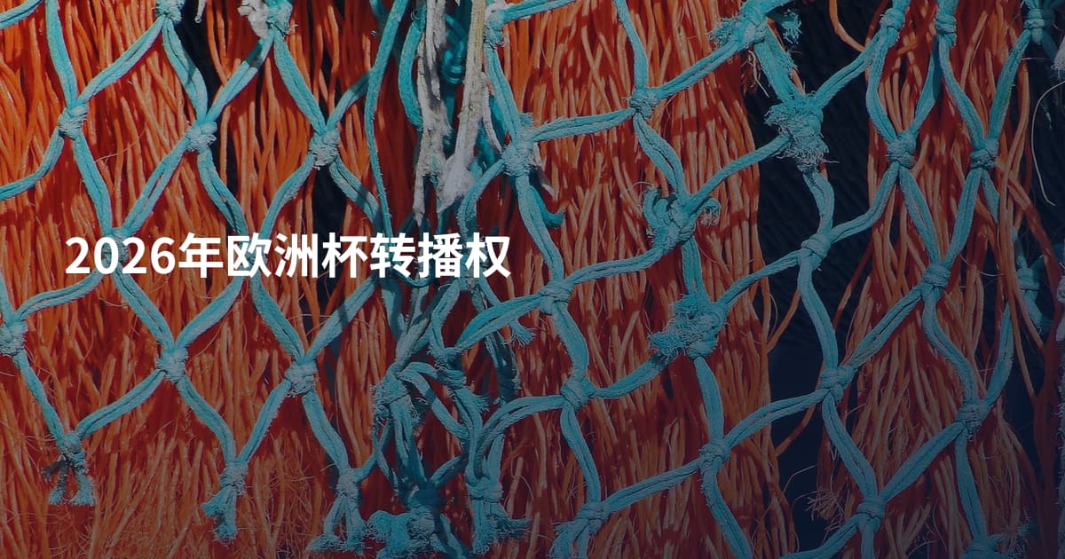 2026年欧洲杯转播权