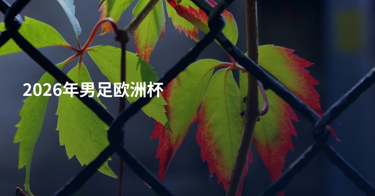 2026年男足欧洲杯