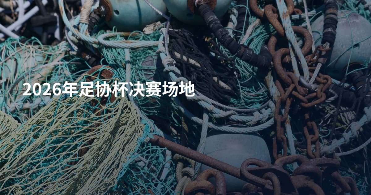 2026年足协杯决赛场地