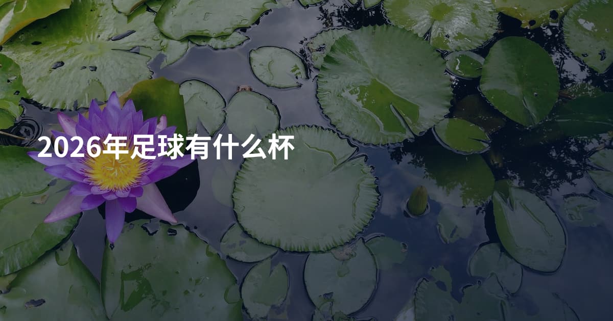 2026年足球有什么杯