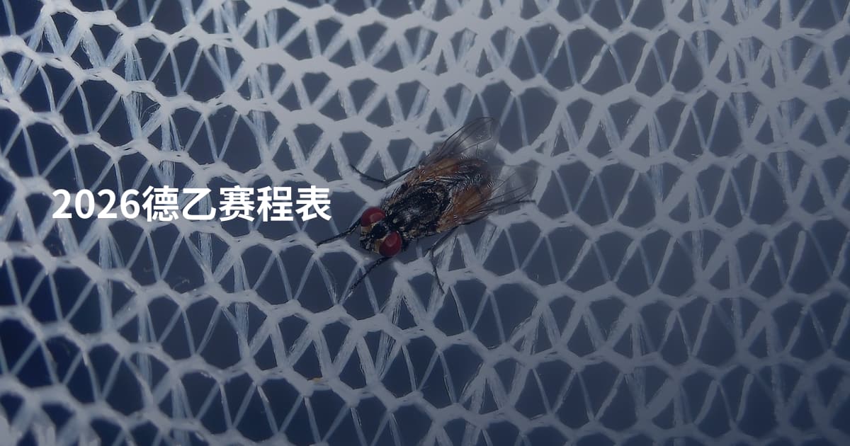 2026德乙赛程表