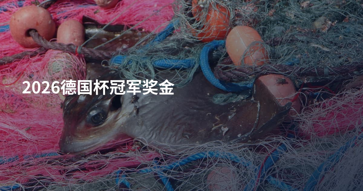 2026德国杯冠军奖金