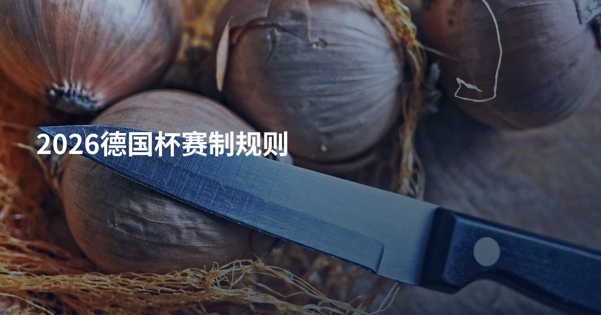 2026德国杯赛制规则