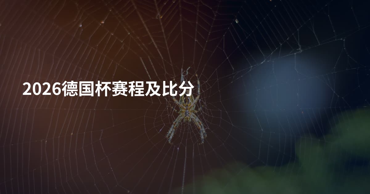 2026德国杯赛程及比分