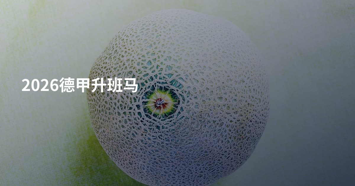 2026德甲升班马